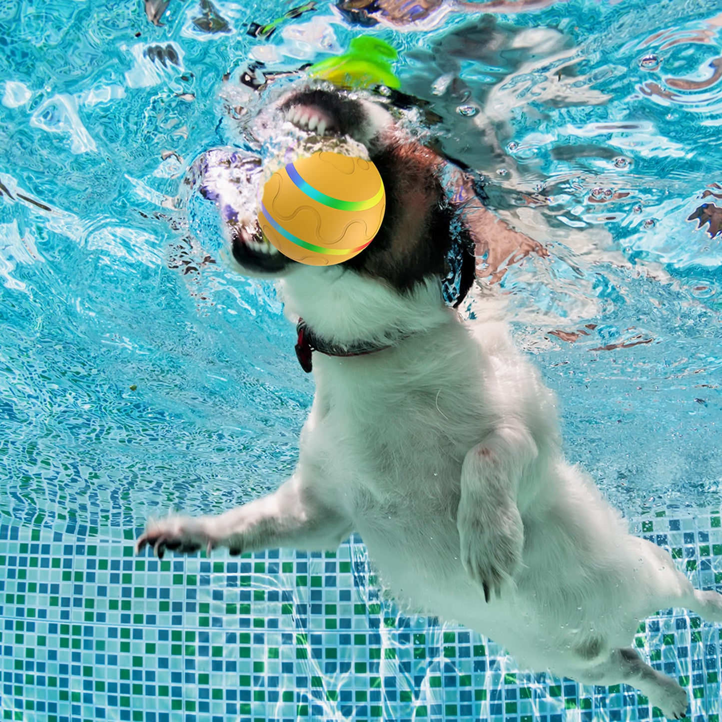 🔥LAST DAY 50% OFF🔥 Interactive Dog Toys Dog Ball,[Newly Upgraded]Durable Motion Activated Automatic Rolling BallToys for/Small/Medium/Large Dogs,USBRechargeable Springtok